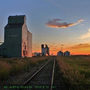 Meet your Posher, Marlene